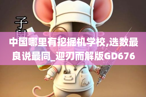 中国哪里有挖掘机学校,选数最良说最同_迎刃而解版GD676