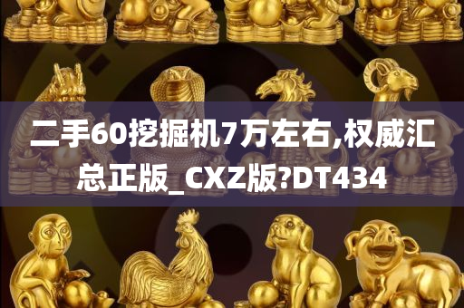 二手60挖掘机7万左右,权威汇总正版_CXZ版?DT434