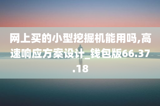 网上买的小型挖掘机能用吗,高速响应方案设计_钱包版66.37.18