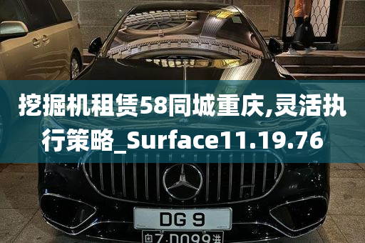 挖掘机租赁58同城重庆,灵活执行策略_Surface11.19.76