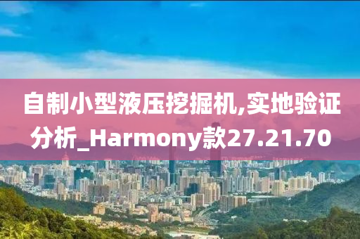 自制小型液压挖掘机,实地验证分析_Harmony款27.21.70