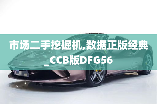 市场二手挖掘机,数据正版经典_CCB版DFG56