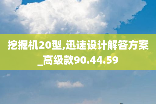 挖掘机20型,迅速设计解答方案_高级款90.44.59