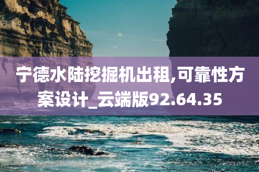 宁德水陆挖掘机出租,可靠性方案设计_云端版92.64.35