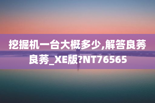 挖掘机一台大概多少,解答良莠良莠_XE版?NT76565