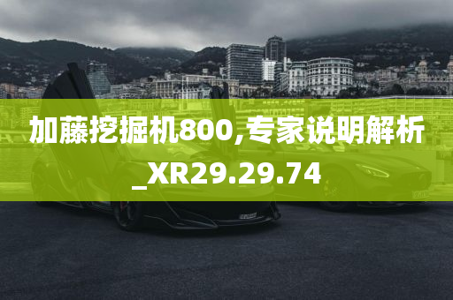 加藤挖掘机800,专家说明解析_XR29.29.74