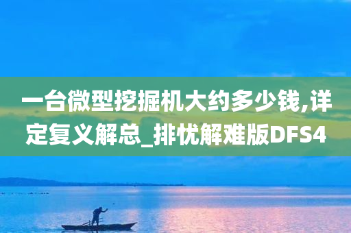 一台微型挖掘机大约多少钱,详定复义解总_排忧解难版DFS4