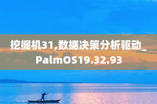 挖掘机31,数据决策分析驱动_PalmOS19.32.93