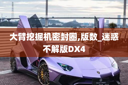 大臂挖掘机密封圈,版数_迷惑不解版DX4