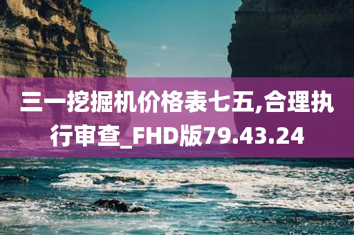 三一挖掘机价格表七五,合理执行审查_FHD版79.43.24