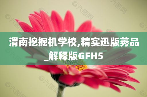 渭南挖掘机学校,精实迅版莠品_解释版GFH5