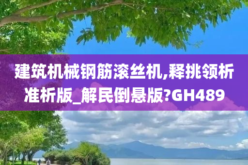 建筑机械钢筋滚丝机,释挑领析准析版_解民倒悬版?GH489