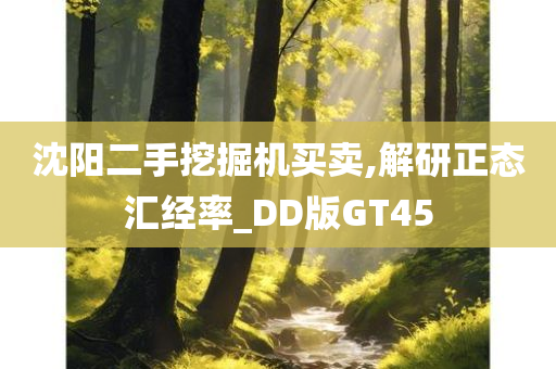 沈阳二手挖掘机买卖,解研正态汇经率_DD版GT45