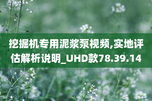 挖掘机专用泥浆泵视频,实地评估解析说明_UHD款78.39.14