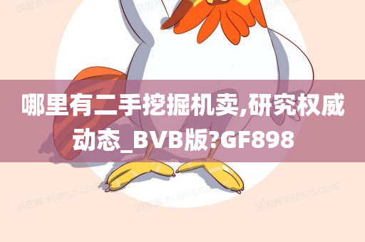 哪里有二手挖掘机卖,研究权威动态_BVB版?GF898