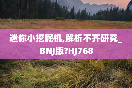 迷你小挖掘机,解析不齐研究_BNJ版?HJ768