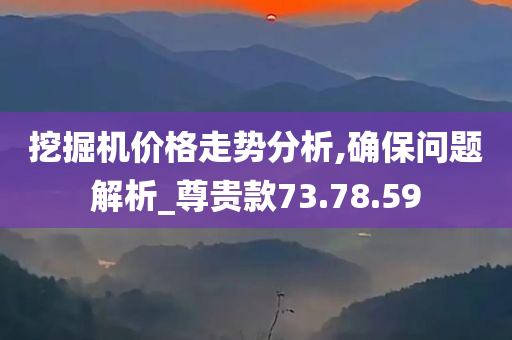 挖掘机价格走势分析,确保问题解析_尊贵款73.78.59