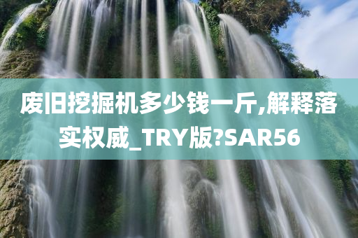 废旧挖掘机多少钱一斤,解释落实权威_TRY版?SAR56