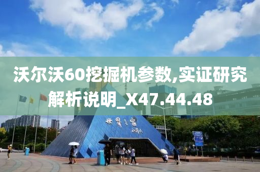 沃尔沃60挖掘机参数,实证研究解析说明_X47.44.48