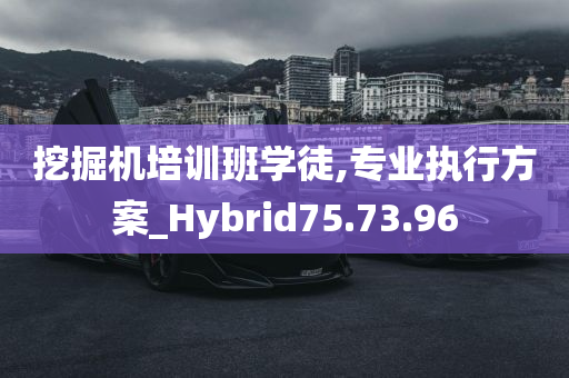 挖掘机培训班学徒,专业执行方案_Hybrid75.73.96