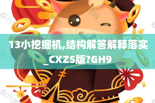 13小挖掘机,结构解答解释落实_CXZS版?GH9