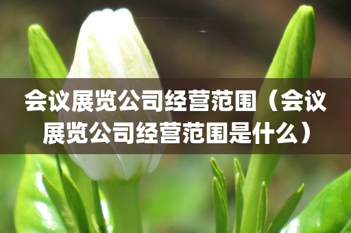 会议展览公司经营范围（会议展览公司经营范围是什么）