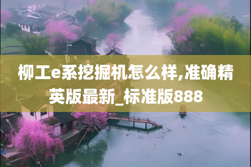 柳工e系挖掘机怎么样,准确精英版最新_标准版888