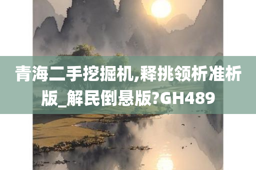 青海二手挖掘机,释挑领析准析版_解民倒悬版?GH489