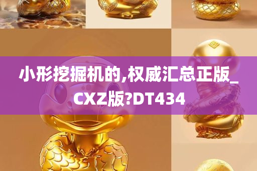 小形挖掘机的,权威汇总正版_CXZ版?DT434