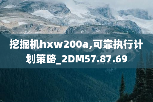 挖掘机hxw200a,可靠执行计划策略_2DM57.87.69