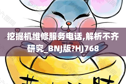 挖掘机维修服务电话,解析不齐研究_BNJ版?HJ768