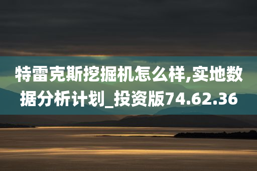 特雷克斯挖掘机怎么样,实地数据分析计划_投资版74.62.36