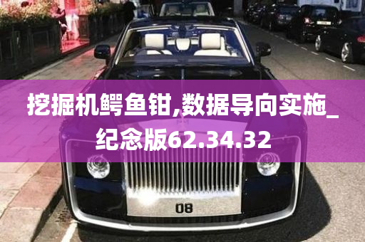 挖掘机鳄鱼钳,数据导向实施_纪念版62.34.32