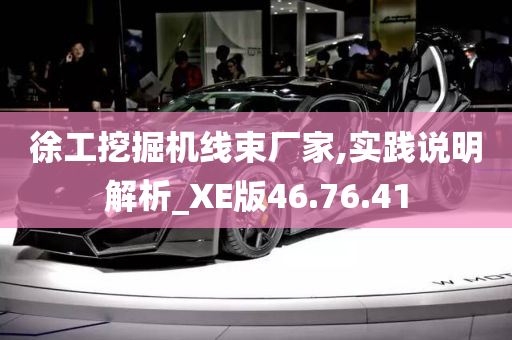 徐工挖掘机线束厂家,实践说明解析_XE版46.76.41