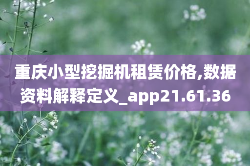 重庆小型挖掘机租赁价格,数据资料解释定义_app21.61.36