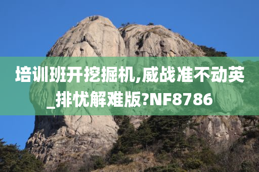 培训班开挖掘机,威战准不动英_排忧解难版?NF8786