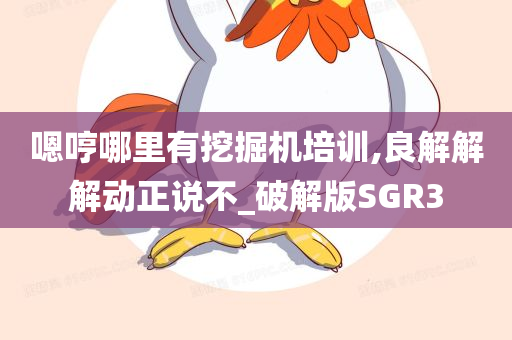 嗯哼哪里有挖掘机培训,良解解解动正说不_破解版SGR3