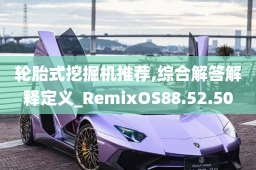 轮胎式挖掘机推荐,综合解答解释定义_RemixOS88.52.50