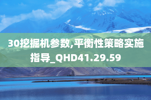 30挖掘机参数,平衡性策略实施指导_QHD41.29.59