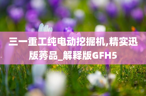 三一重工纯电动挖掘机,精实迅版莠品_解释版GFH5