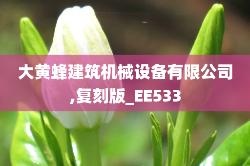 大黄蜂建筑机械设备有限公司,复刻版_EE533