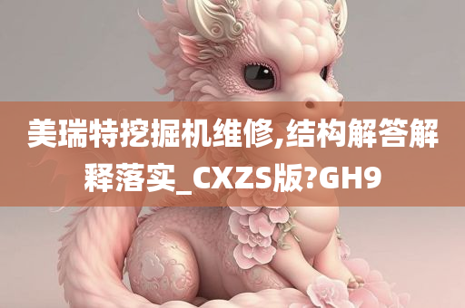 美瑞特挖掘机维修,结构解答解释落实_CXZS版?GH9