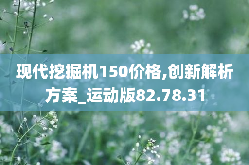 现代挖掘机150价格,创新解析方案_运动版82.78.31