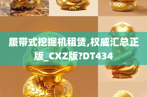 履带式挖掘机租赁,权威汇总正版_CXZ版?DT434