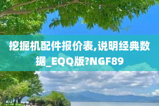 挖掘机配件报价表,说明经典数据_EQQ版?NGF89