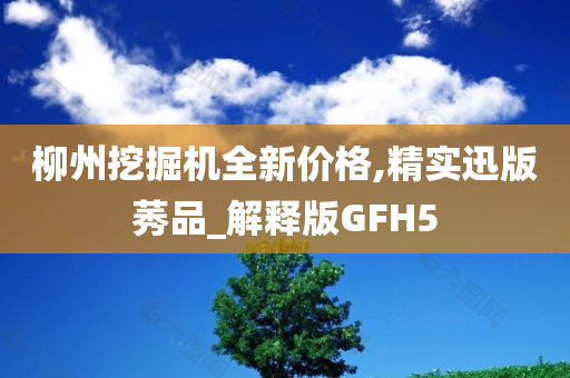 柳州挖掘机全新价格,精实迅版莠品_解释版GFH5