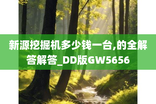 新源挖掘机多少钱一台,的全解答解答_DD版GW5656