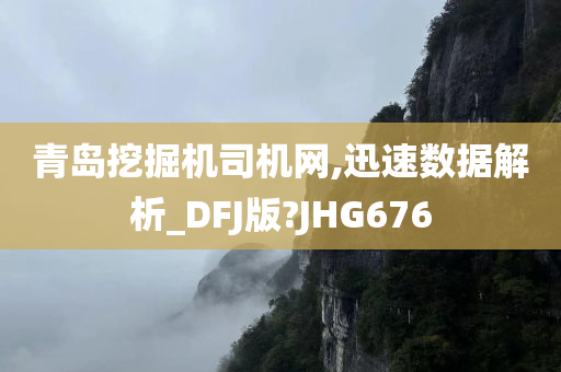 青岛挖掘机司机网,迅速数据解析_DFJ版?JHG676