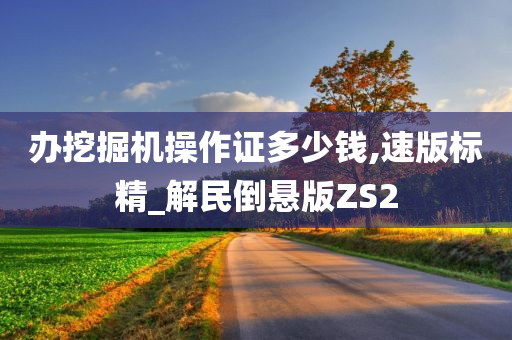 办挖掘机操作证多少钱,速版标精_解民倒悬版ZS2