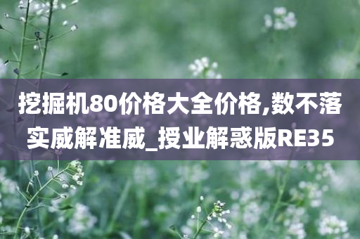 挖掘机80价格大全价格,数不落实威解准威_授业解惑版RE35